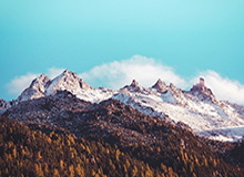 Baccarat Gaming-中国女排不敌法国女排，无缘女排世锦赛八强