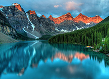 Baccarat Gaming-中国女排不敌法国女排，无缘女排世锦赛八强